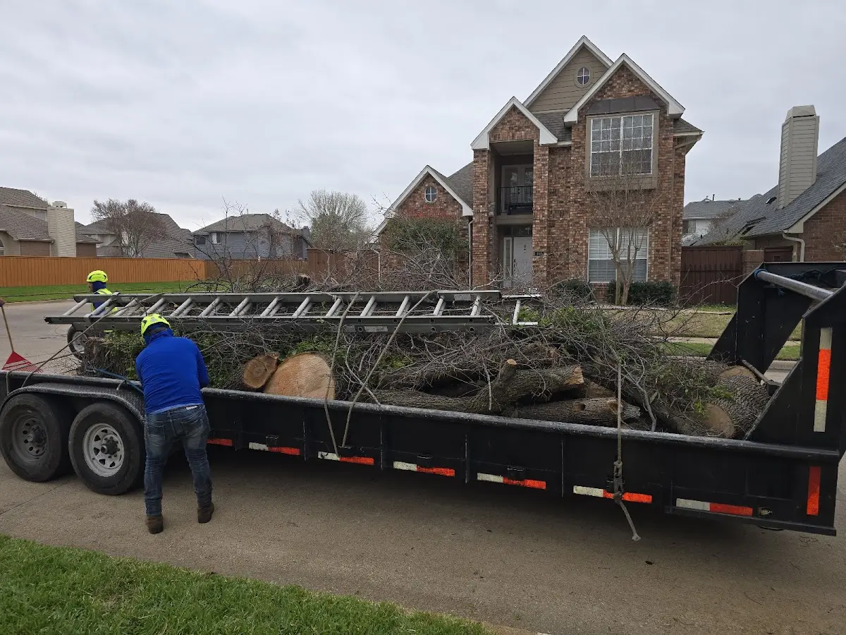 Expert Crown Reduction with proper safety equipment in Lumberton
